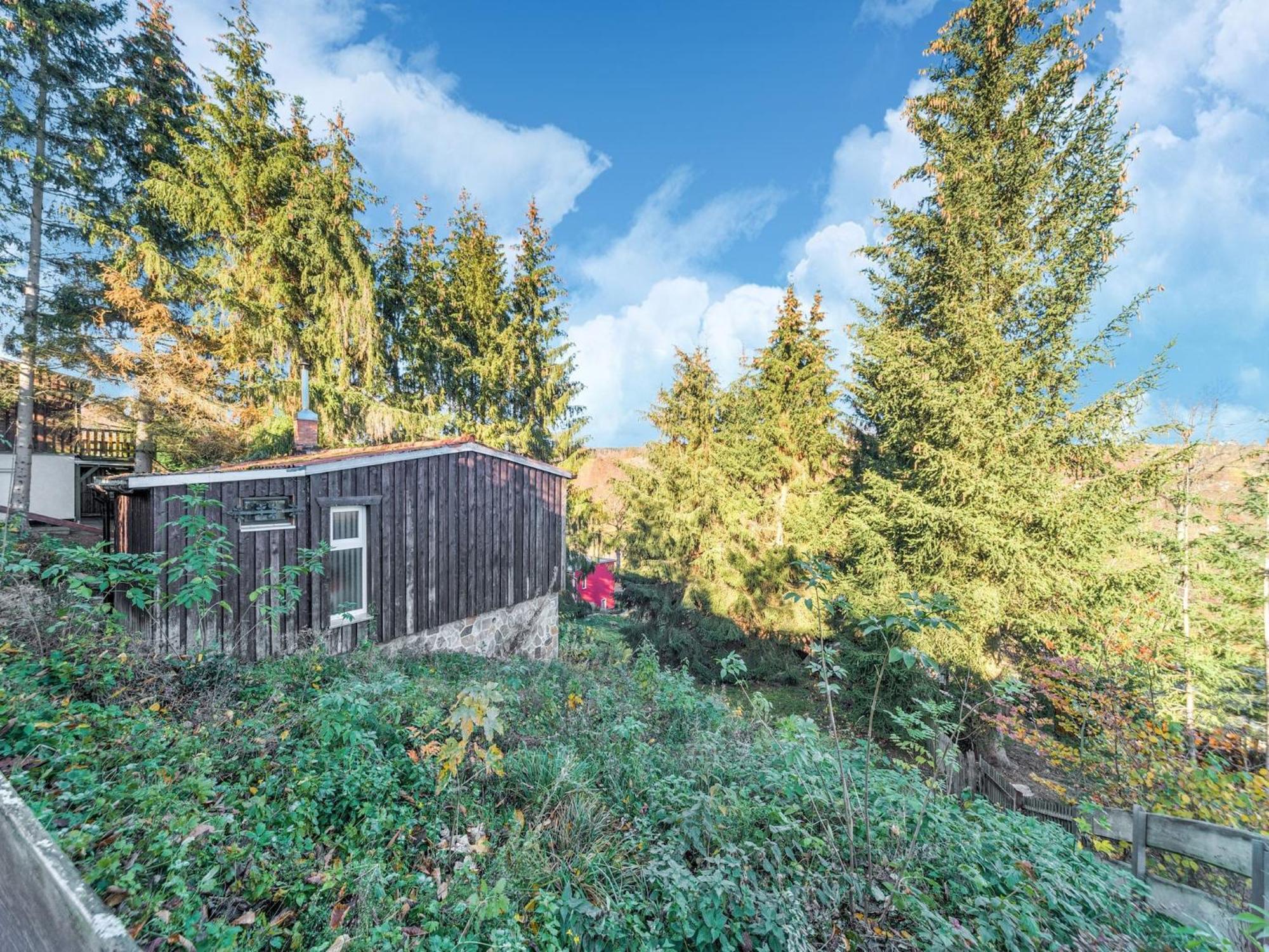 Comely Holiday Home In G Ntersberge Near Forest Guntersberge Exterior photo